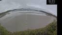 ./images/calvert/beach/20260225/beach20260225_120501M.jpg