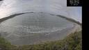 ./images/calvert/beach/20260330/beach20260330_113501M.jpg