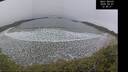 ./images/calvert/beach/20260401/beach20260401_124001M.jpg