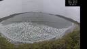 ./images/calvert/beach/20260401/beach20260401_132501M.jpg