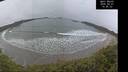 ./images/calvert/beach/20260401/beach20260401_144501M.jpg