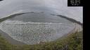 ./images/calvert/beach/20260418/beach20260418_145001M.jpg