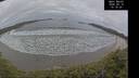 ./images/calvert/beach/20260418/beach20260418_151501M.jpg