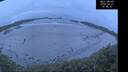./images/calvert/beach/20260427/beach20260427_054501M.jpg