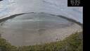 ./images/calvert/beach/20260430/beach20260430_121501M.jpg