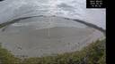 ./images/calvert/beach/20260506/beach20260506_164501M.jpg