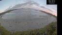 ./images/calvert/beach/20260507/beach20260507_055501M.jpg