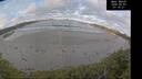 ./images/calvert/beach/20260507/beach20260507_071501M.jpg