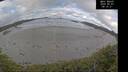 ./images/calvert/beach/20260507/beach20260507_081501M.jpg