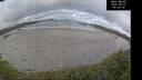 ./images/calvert/beach/20260507/beach20260507_085501M.jpg