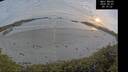 ./images/calvert/beach/20260507/beach20260507_201001M.jpg