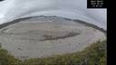 ./images/calvert/beach/20260508/beach20260508_120501M.jpg