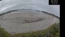 ./images/calvert/beach/20260508/beach20260508_123001M.jpg