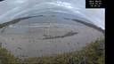 ./images/calvert/beach/20260509/beach20260509_054501M.jpg