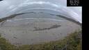 ./images/calvert/beach/20260509/beach20260509_055001M.jpg