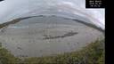 ./images/calvert/beach/20260509/beach20260509_060501M.jpg