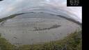./images/calvert/beach/20260509/beach20260509_061001M.jpg