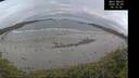 ./images/calvert/beach/20260509/beach20260509_061501M.jpg