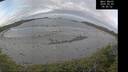 ./images/calvert/beach/20260509/beach20260509_065502M.jpg