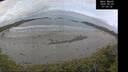 ./images/calvert/beach/20260509/beach20260509_070501M.jpg