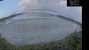 ./images/calvert/beach/20260511/beach20260511_051501M.jpg