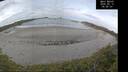 ./images/calvert/beach/20260512/beach20260512_065001M.jpg