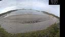 ./images/calvert/beach/20260512/beach20260512_073002M.jpg