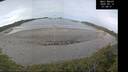 ./images/calvert/beach/20260512/beach20260512_074001M.jpg