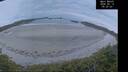 ./images/calvert/beach/20260513/beach20260513_052001M.jpg