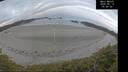 ./images/calvert/beach/20260513/beach20260513_055001M.jpg