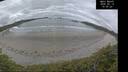 ./images/calvert/beach/20260513/beach20260513_100501M.jpg