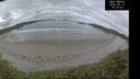 ./images/calvert/beach/20260513/beach20260513_101001M.jpg