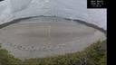 ./images/calvert/beach/20260513/beach20260513_173501M.jpg