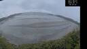 ./images/calvert/beach/20260515/beach20260515_053501M.jpg