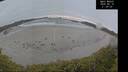 ./images/calvert/beach/20260518/beach20260518_212001M.jpg