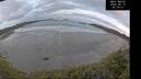 ./images/calvert/beach/20260519/beach20260519_053501M.jpg