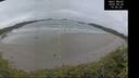 ./images/calvert/beach/20260525/beach20260525_105001M.jpg