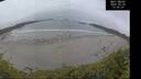./images/calvert/beach/20260528/beach20260528_130002M.jpg