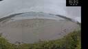 ./images/calvert/beach/20260528/beach20260528_162001M.jpg