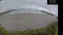 ./images/calvert/beach/20260528/beach20260528_170001M.jpg