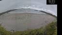 ./images/calvert/beach/20260528/beach20260528_172501M.jpg