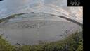 ./images/calvert/beach/20260528/beach20260528_202501M.jpg