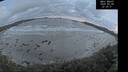 ./images/calvert/beach/20260528/beach20260528_222001M.jpg