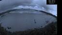 ./images/calvert/beach/20260529/beach20260529_043501M.jpg
