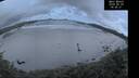 ./images/calvert/beach/20260529/beach20260529_044001M.jpg
