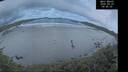 ./images/calvert/beach/20260529/beach20260529_044501M.jpg