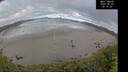 ./images/calvert/beach/20260529/beach20260529_081001M.jpg