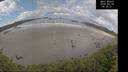 ./images/calvert/beach/20260529/beach20260529_095001M.jpg