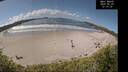 ./images/calvert/beach/20260529/beach20260529_121002M.jpg