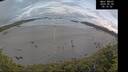 ./images/calvert/beach/20260530/beach20260530_051501M.jpg